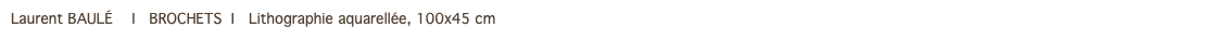 Laurent BAULÉ I BROCHETS I Lithographie aquarellée, 100x45 cm